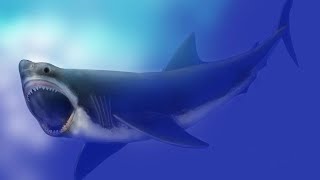 DOCUMENTAIRE HD 2024  Mégalodon le requin géant [upl. by Zillah792]