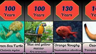 Longest lifespan animals in the world [upl. by Malim]