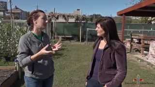 Crescent City Cooks Cooking School New Orleans Urban Agriculture [upl. by Roxine]