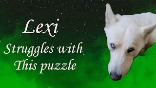 Lexi Puzzle Challenge Test Your Brainpower Toy link in description [upl. by Jessamine]