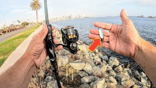 Shore Pounding San Diego Bay [upl. by Werdma935]