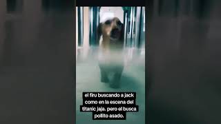 El perrito del titanic [upl. by Atiuqiram]