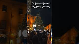 The Distillery District Tree Lighting Ceremony  Toronto 2024  Christmas Season  Festive Season [upl. by Ahsitniuq]