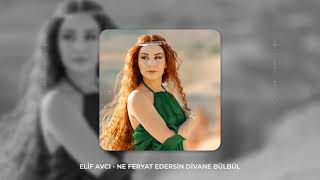 Elif Avcı  Ne Feryat Edersin Divane Bülbül [upl. by Legin]