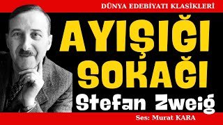 quotAyışığı Sokağıquot Stefan Zweig Dünya Edebiyatından Sesli Kitaplar [upl. by Humphrey]