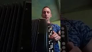 One of the best accordion songs [upl. by Aneema89]