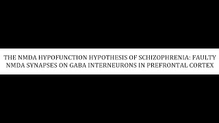 STAHLS  CH 4  PART 20  FAULTY NMDA SYNAPSES ON GABA INTERNEURONS psychiatrypharmacology [upl. by Llenoil]