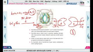 Mavi Set Biyoloji 3  Bitki Biyolojisi Bitkilerde Madde Taşınması  8 🔬 [upl. by Tonia198]