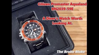 Citizen Promaster Aqualand Diver  Quality and Affordability in 1 Watch [upl. by Saville716]