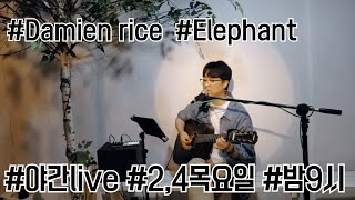 Damien rice  Elephantcover [upl. by Warp]