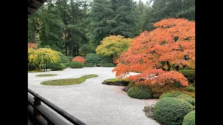 Portland Japanese Garden and Multnomah Falls [upl. by Hackney]