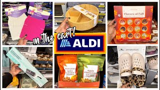 ALDI FINDS THIS WEEK  ALDI FOOD SHOPPING  ALDI FALL 2024  ALDI SHOP WITH ME [upl. by Cyndi908]