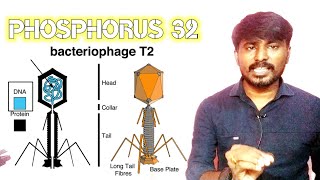 Hershey and Chase experiment  In search of the genetic material  part4  Class 12  Neet biology [upl. by Rusty]