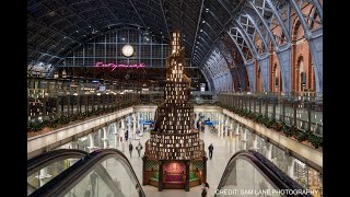 St Pancras Bookcase Tree Timelapse [upl. by Philina]