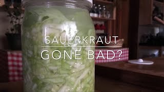 How to tell if your Sauerkraut has gone bad [upl. by Raynata]