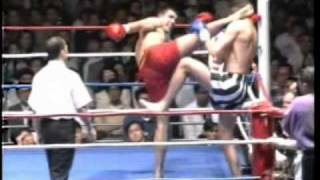 Peter Aerts Greatest Knockouts [upl. by Samalla]