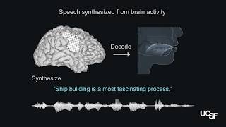 Speech synthesis from neural decoding of spoken sentences [upl. by Ander212]