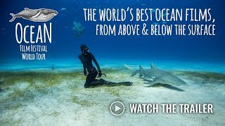 Ocean Film Festival  2018 UK and Ireland Trailer [upl. by Eigger]