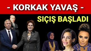 Erdoğan enflasyon Meral Akşenerden Mansur Yavaşa Korkak Yavaş Seçil Erzan Fatih terim Fonu [upl. by Nnadroj]