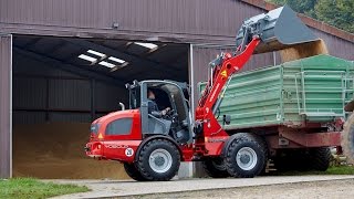 Weidemann – Radlader 4080LP Getreide laden [upl. by Eednarb]