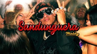 Maldy  Sandunguera Official Video [upl. by Halona]