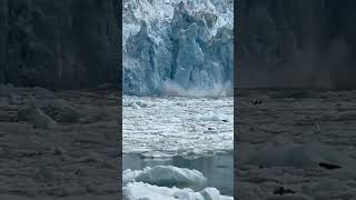 🧊Glaciers to the Max Calving tidewater glacier in Juneau Alaska [upl. by Jessey]