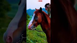 Monkey horse riding 🐒🐎shorts viralvideo trending ai [upl. by Sasnett88]