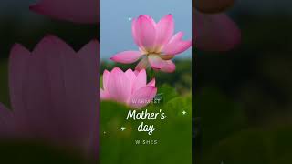 Happy Mothers Day 💝  happymothersday virel trending shorts maa motivation status billionai [upl. by Nidnal]