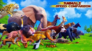 Speed of Animals  Most Fastest Animal in the World  Animals Speed Comparison 3D Animation 2024 [upl. by Vickey756]