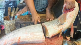 Amazing Giant Wallago Attu Catfish Cutting Skills In Bangladesh Fish Market [upl. by Ailime]