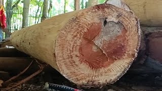 The process of making wadang wooden boards and beams [upl. by Nuahsyd]