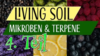 Living Soil  Mikroben und Terpene [upl. by Weiman]