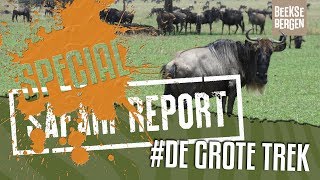 SAFARI REPORT  SPECIAL DE GROTE TREK [upl. by Sale]