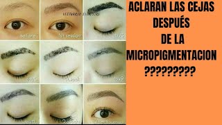 CUANTO DEMORAN LAS CEJAS CON MICROPIGMENTACION EN ACLARAR [upl. by Sky]