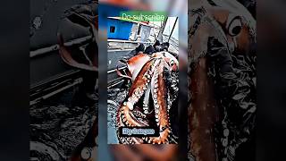 The giant sea monster caught by fisherman sea fishing trending foryou viralshorts shorts [upl. by Spenser]