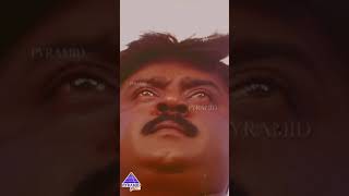 Pottathalem Video Song  Bharathan Movie Songs  Vijayakanth  Bhanupriya  Ilaiyaraaja  YTShorts [upl. by Coop]