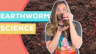 Earthworm Science for Kids  Earthworm Dissection Model [upl. by Castorina]