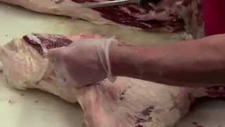 Breaking a Hind Quarter of Beef [upl. by Moor]