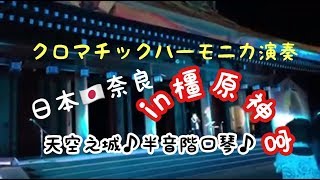 【橿原神宮】君をのせて天空の城ラピュタ♪ 〔天空之城♪半音階口琴〕2016年春の神武祭 クロマチックハーモニカ奏者 徳永有生さん素晴らしい熱演♪Chromatic harmonica [upl. by Evonne]