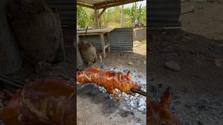 🇵🇭 ROASTED WHOLE PIG FILIPINO’S MOST POPULAR DISHES IN FILIPINO FOOD CULTURE🤤 [upl. by Atram]