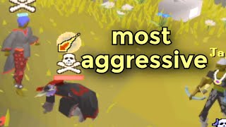 The most aggressive pure on Runescape [upl. by Flo]