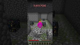 the second craziest seed in minecraft history [upl. by Eronel]