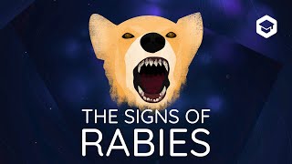 A master of deception  the signs of rabies in dogs [upl. by Mrots]