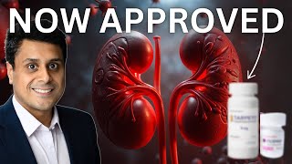 NEW TREATMENT for KIDNEY DISEASE  Hope for IgA Nephropathy nowapproved [upl. by Mot]