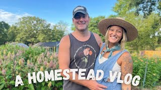 A Homestead Vlog  Day In The Life [upl. by Elburr622]