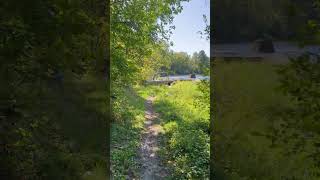 Hiking Trail to River Clearing Ontario Nature Walk [upl. by Nahtnahoj]