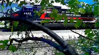 TheTREECAM in Altoona Pennsylvania TRIPLE Norfolk Southern Lines [upl. by Stilu]