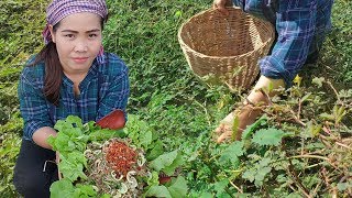 Cooking With SrosSros Cooking water mimosa banana flower with shrimp delicious by Kak Sreypov TPL [upl. by Gunas]