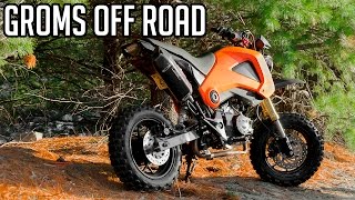 Off Road Honda Grom Adventure [upl. by Kemppe]