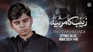 Zainab Ka Marsiya  Syed Zain Ali Zaidi  Mola Ali Noha  21 Ramzan Noha 2024 [upl. by Ianthe]